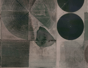 IMG_WindTerrainAgriculture